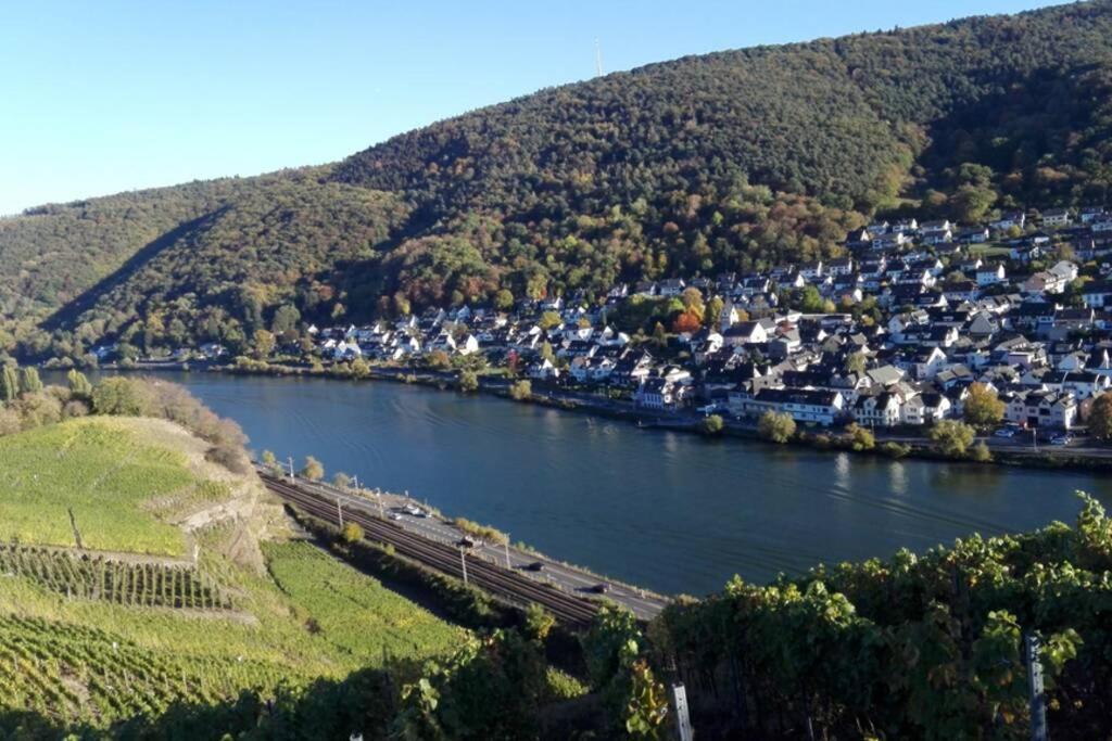 Ferienhaus Chalet Marc Am Moselbogen Villa Koblenz  Kültér fotó
