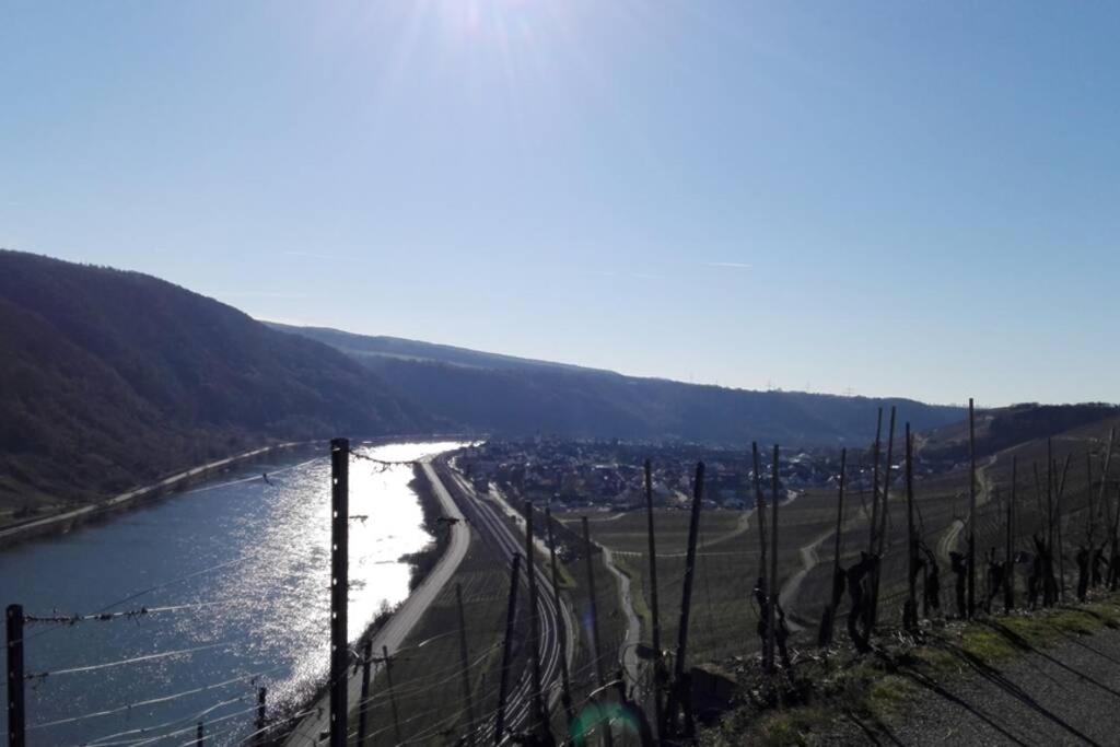 Ferienhaus Chalet Marc Am Moselbogen Villa Koblenz  Kültér fotó